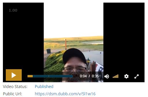 Busy vs Enjoying Life